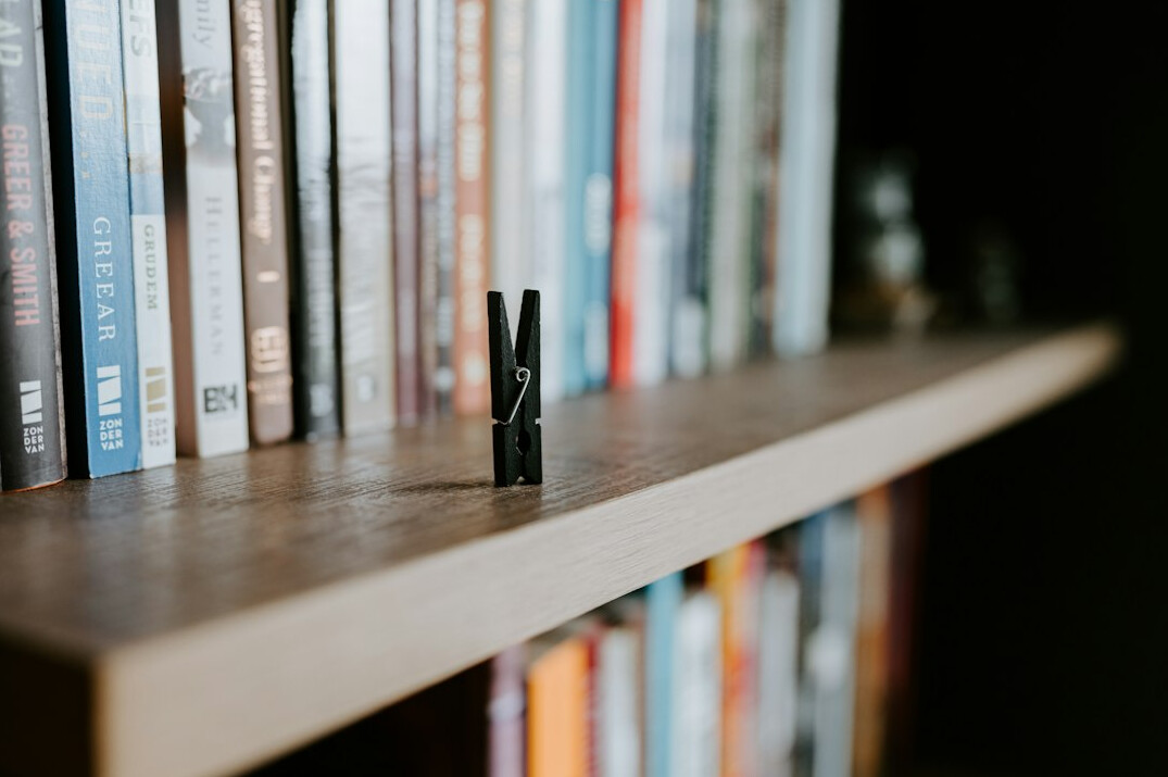 published mystery novel on shelf